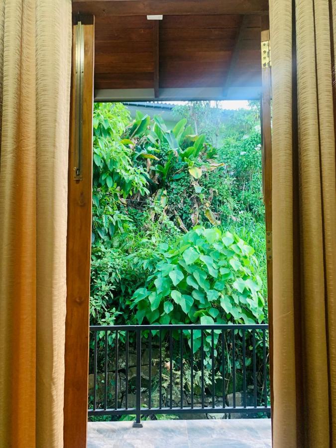 Jungle City Hostel كالي المظهر الخارجي الصورة