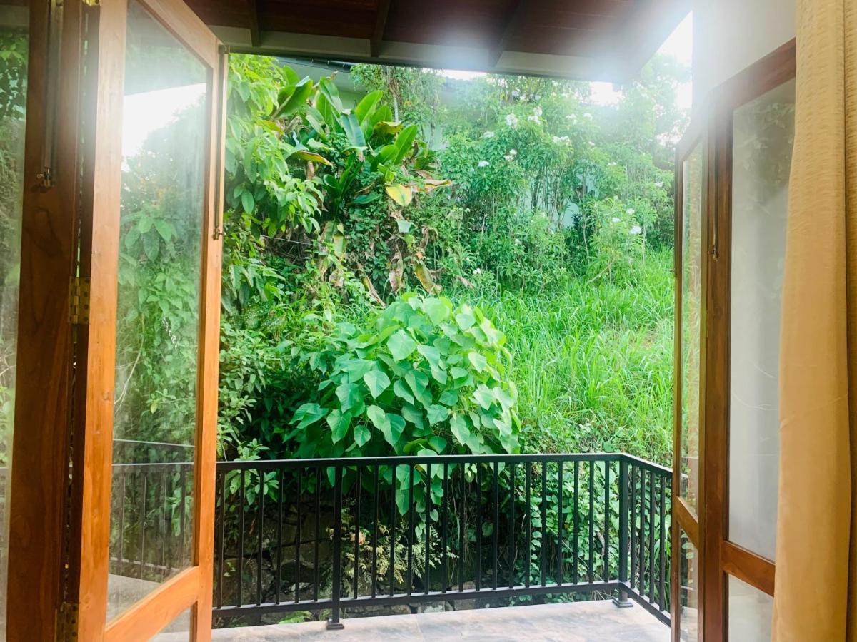 Jungle City Hostel كالي المظهر الخارجي الصورة
