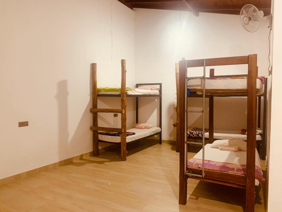 Jungle City Hostel كالي المظهر الخارجي الصورة